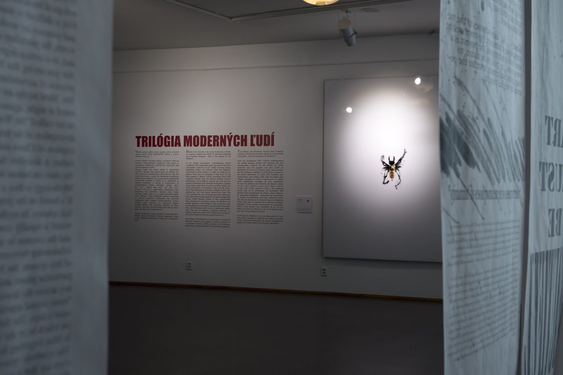 Danubiana Meulensteen Art Museum, Bratislava, Slovaquie — photos 1